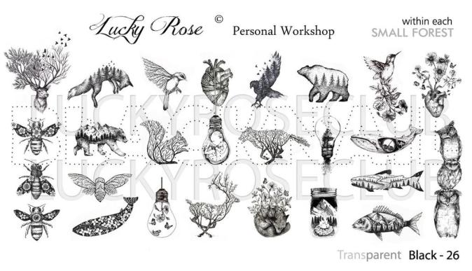 Слайдер Lucky Rose Black-26