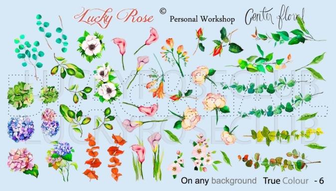 Слайдер Lucky Rose True Colour-6